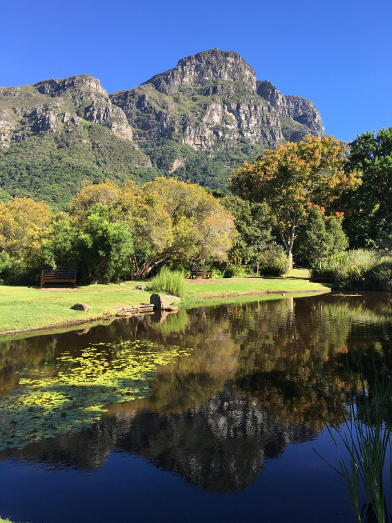 Table Mountain Scenery